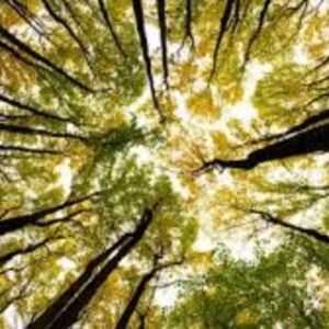 Meet your Posher, Skye